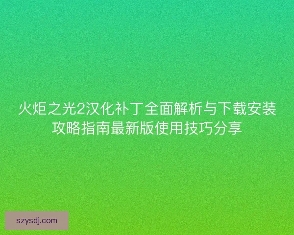 火炬之光2汉化补丁全面解析与下载安装攻略指南最新版使用技巧分享