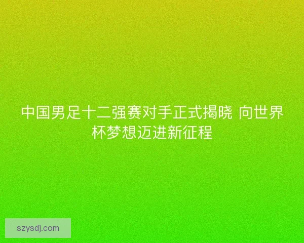 中国男足十二强赛对手正式揭晓 向世界杯梦想迈进新征程 中国男足十二强赛对手正式揭晓 向世界杯梦想迈进新征程